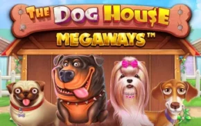 the-dog-house-img